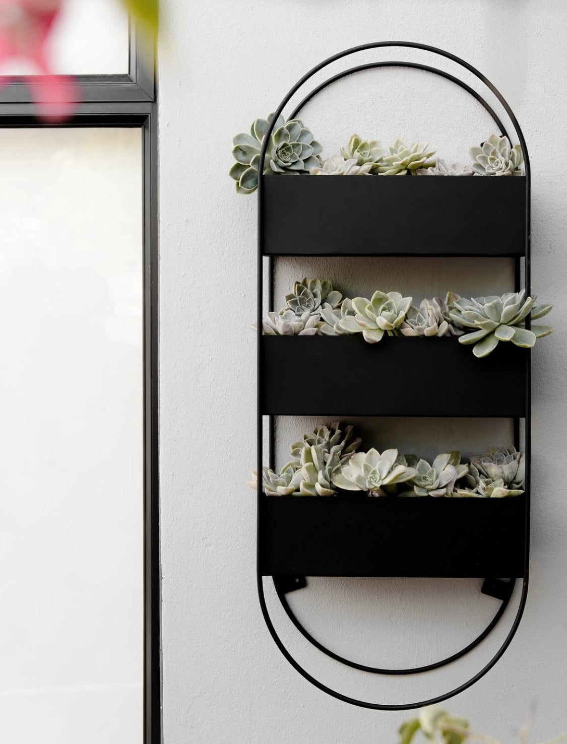 Capsule Wall Planter