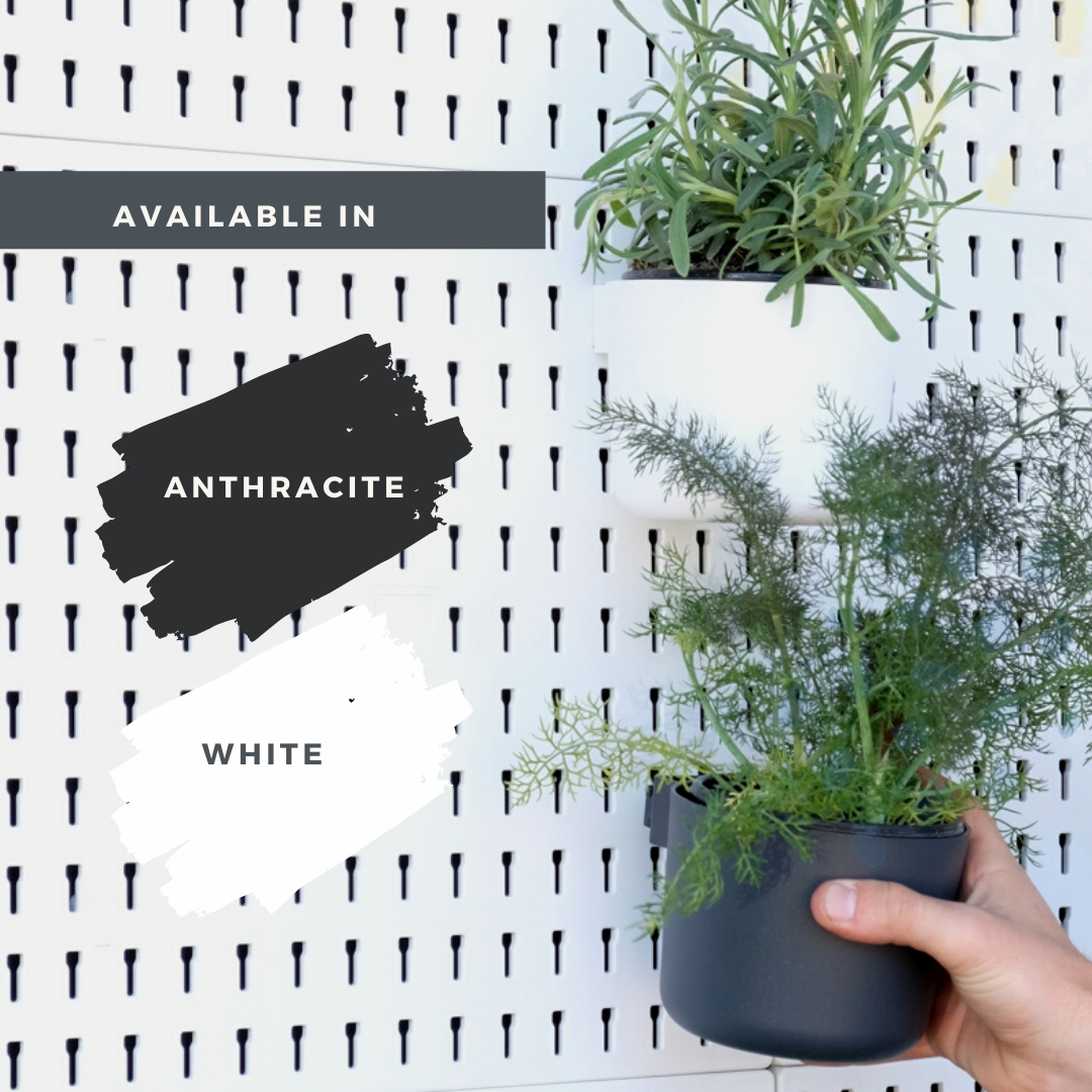 The Living Wall Kit - Pegboard Organisational System