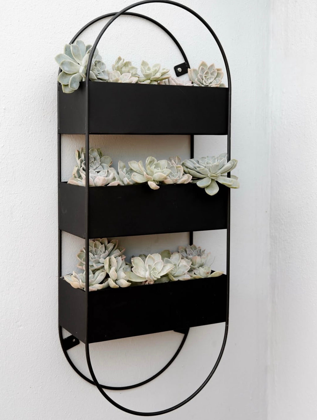 Capsule Wall Planter