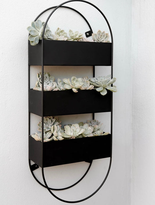 Capsule Wall Planter
