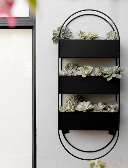 Capsule Wall Planter