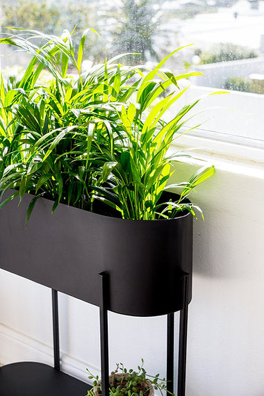 Capsule Standing Planter