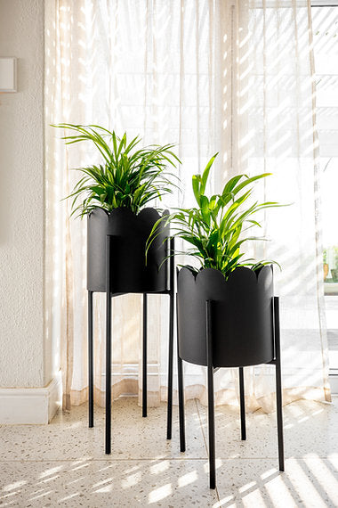 Scalloped Removable Steel Planter