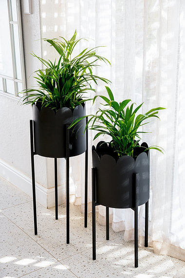 Scalloped Removable Steel Planter