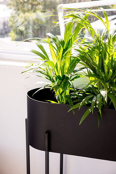 Capsule Standing Planter