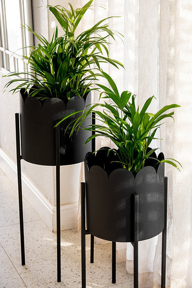 Scalloped Removable Steel Planter