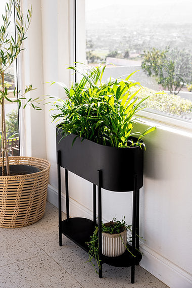 Capsule Standing Planter