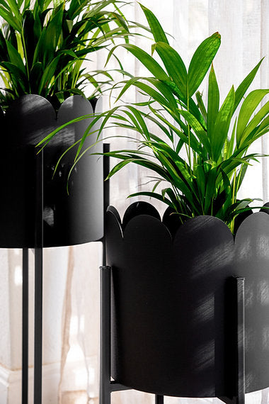 Scalloped Removable Steel Planter