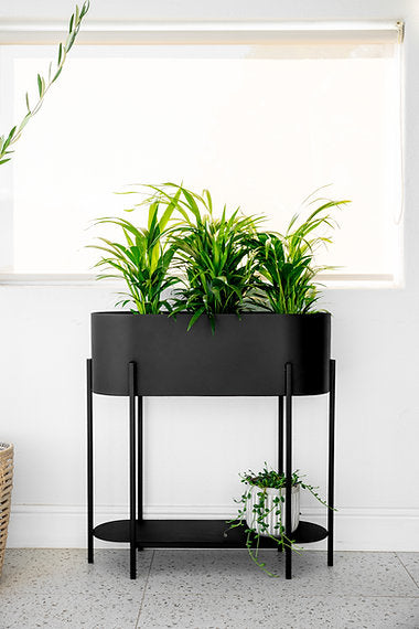 Capsule Standing Planter