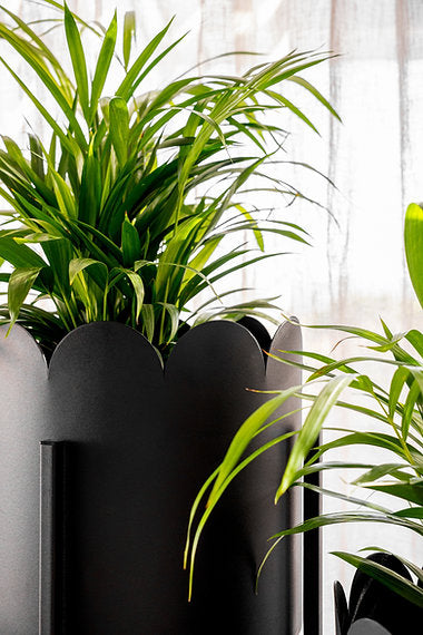 Scalloped Removable Steel Planter