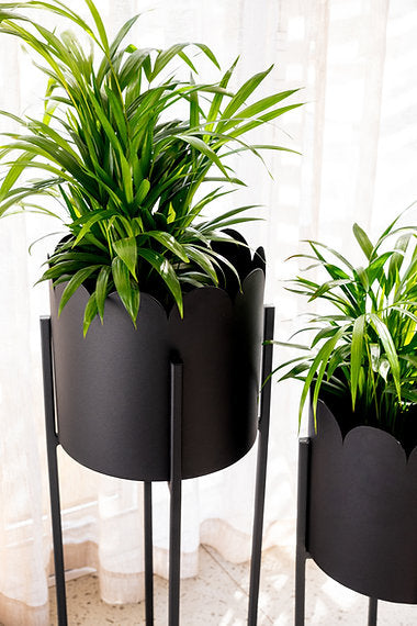 Scalloped Removable Steel Planter