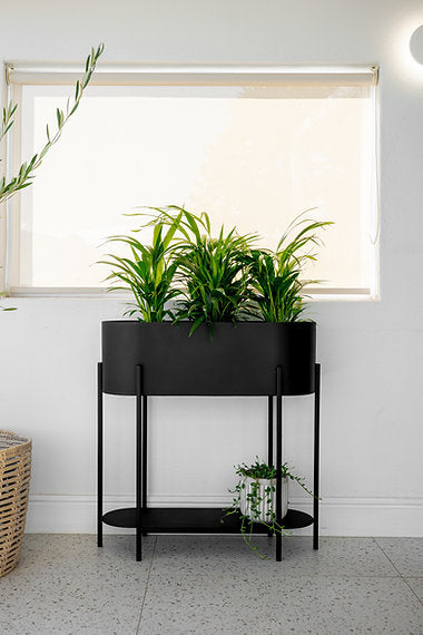 Capsule Standing Planter