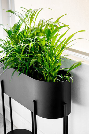 Capsule Standing Planter