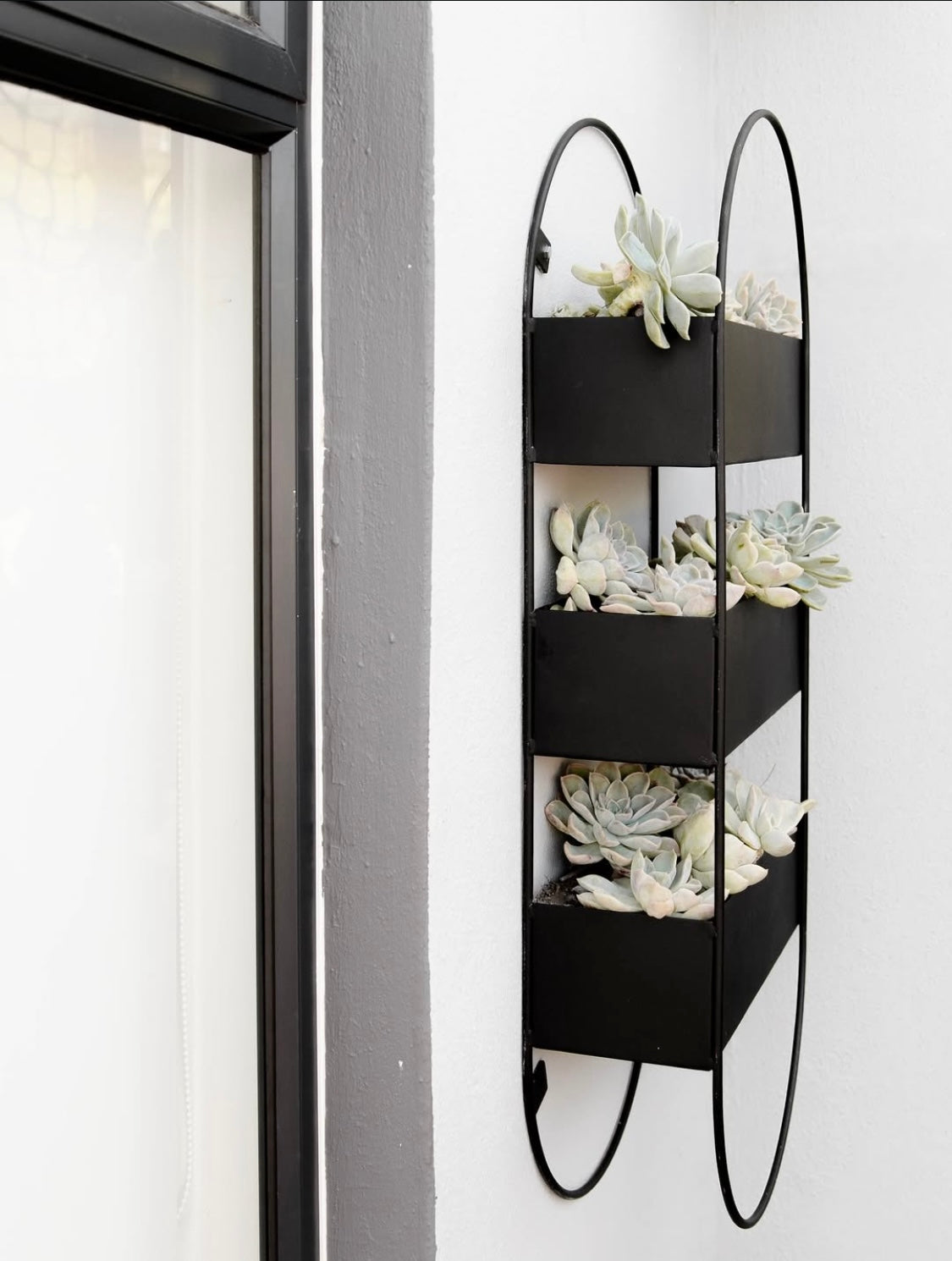 Capsule Wall Planter