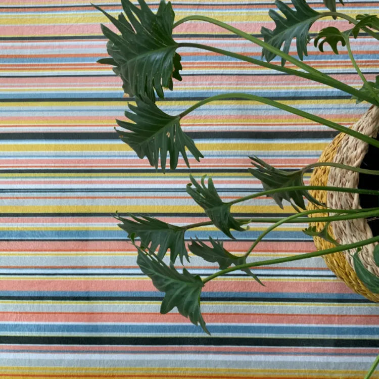 Candy Stripe Rug