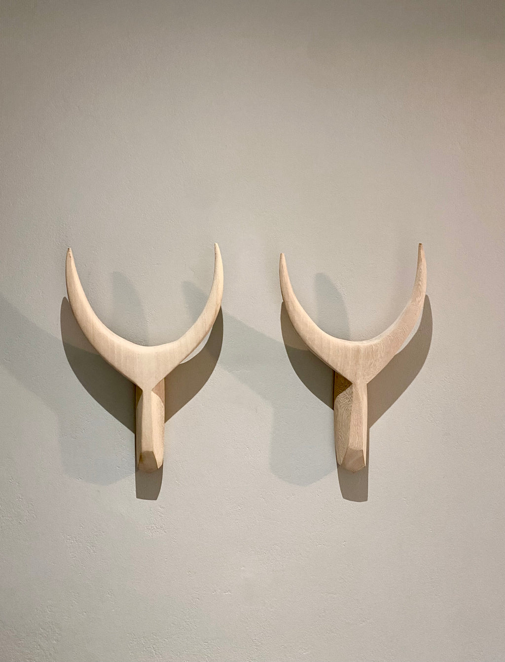 Wooden Horns (Oak) Medium