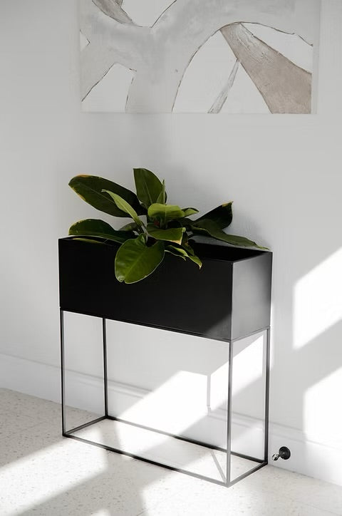 The Long Standing Planter