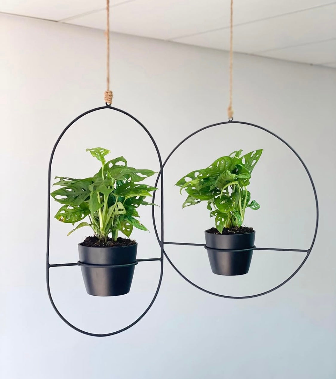 The Ring Hanger Planter