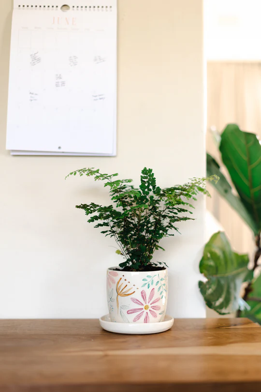 Floral Ceramic Planter