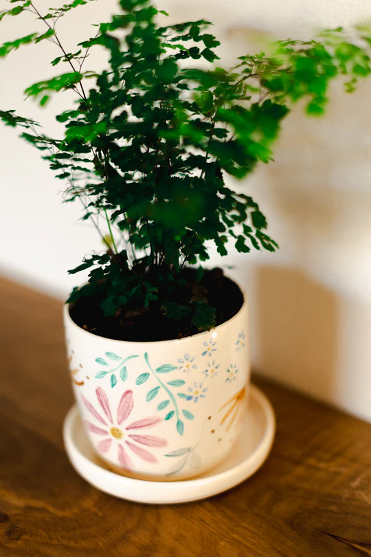 Floral Ceramic Planter