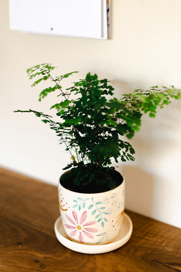 Floral Ceramic Planter