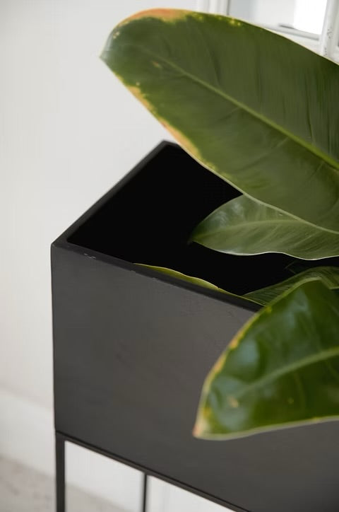 The Long Standing Planter