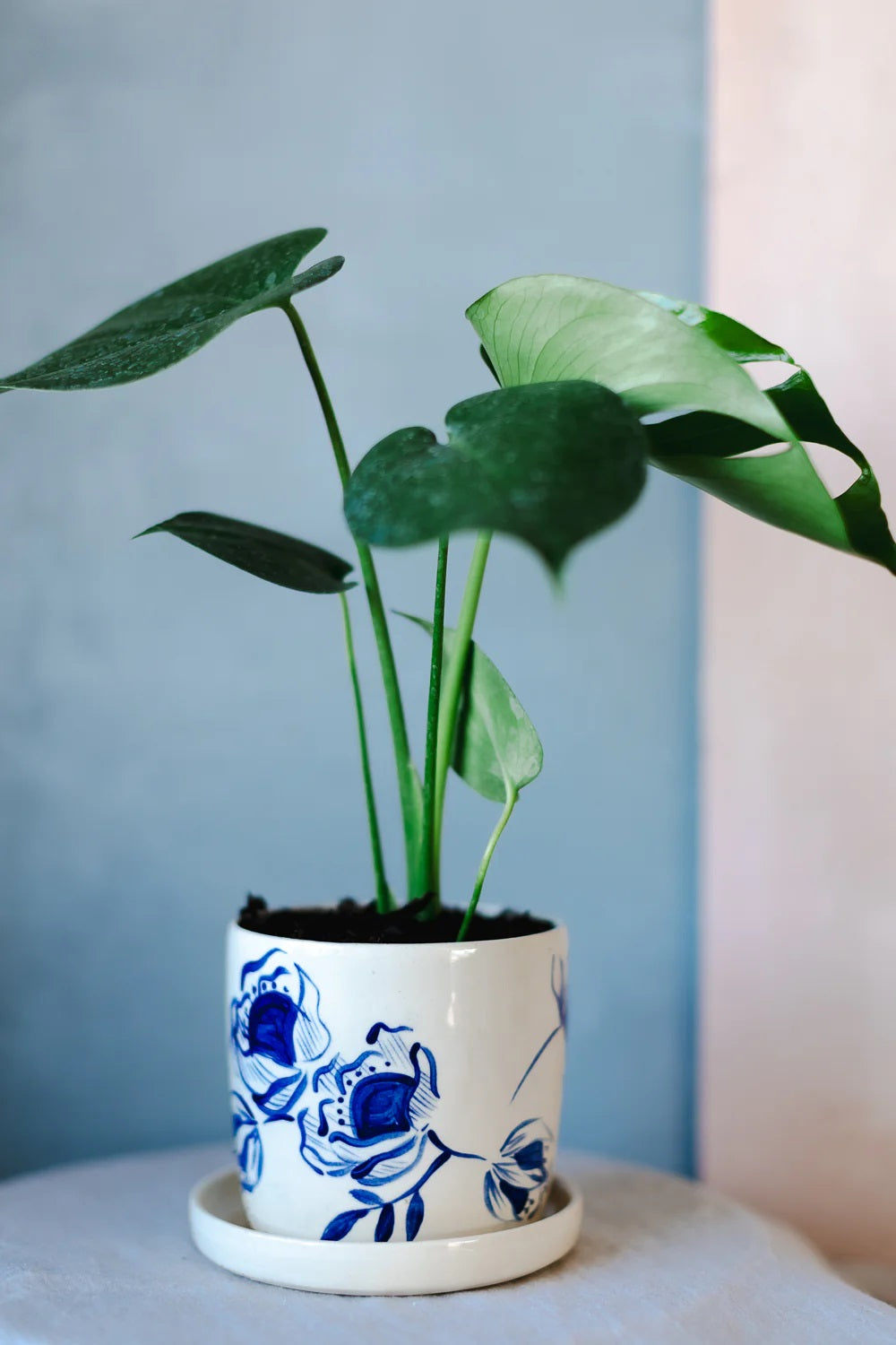 Blue Blossom Ceramic Planter