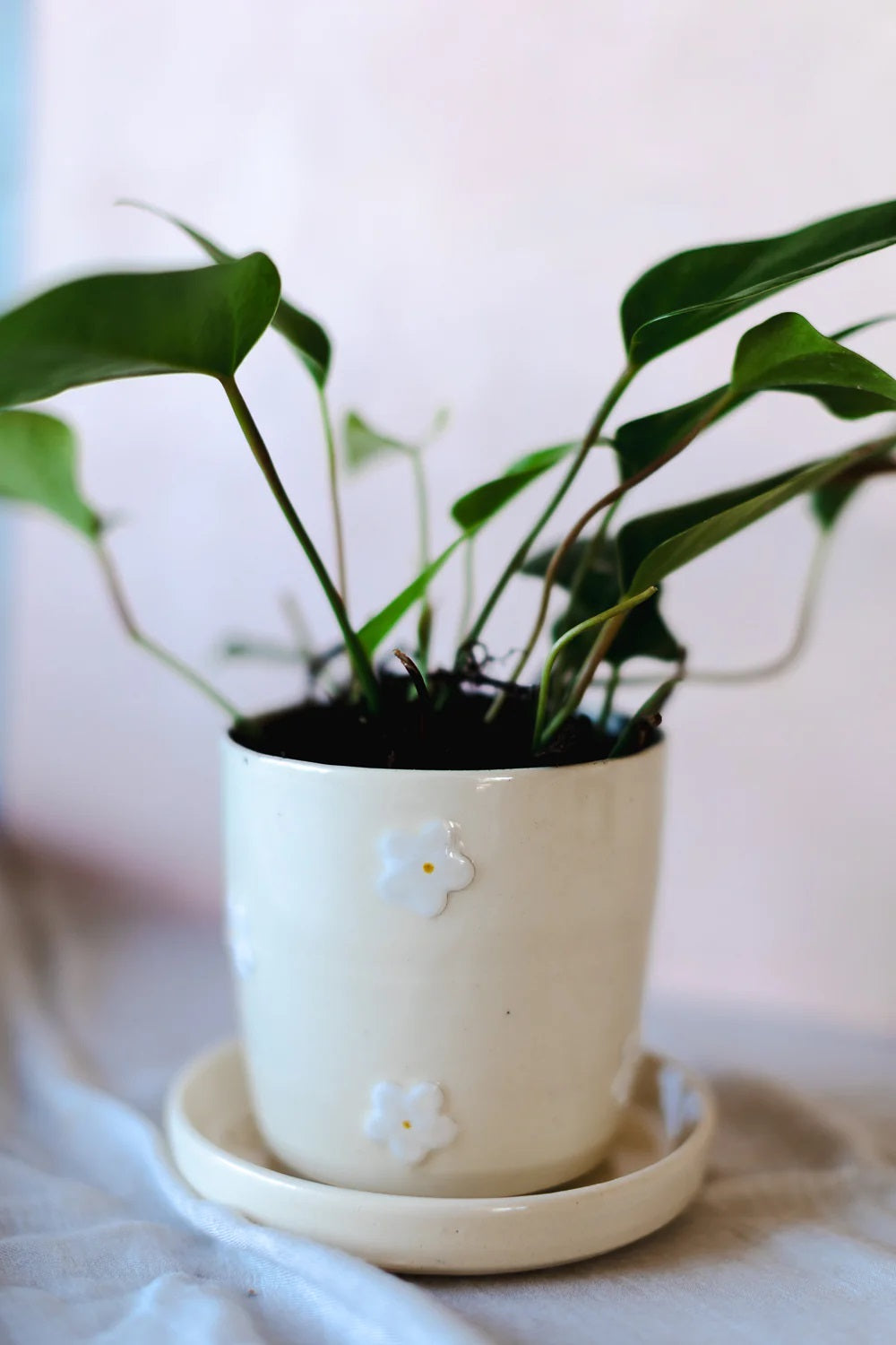 Daisy Ceramic Planter