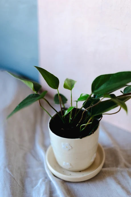 Daisy Ceramic Planter