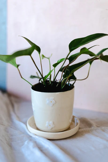 Daisy Ceramic Planter