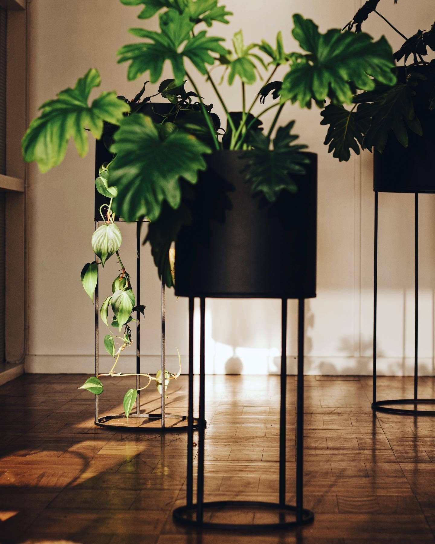 Standing Cylinder Planter