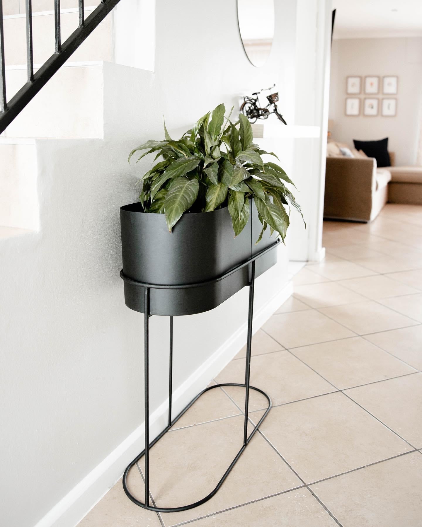 Capsule Standing Planter