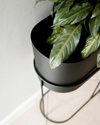 Capsule Standing Planter