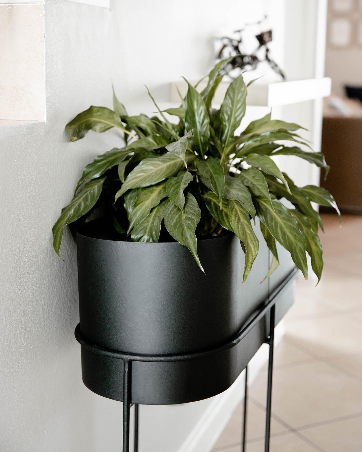 Capsule Standing Planter