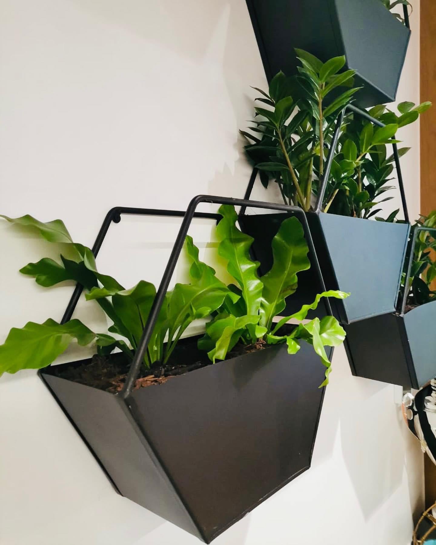 The Hexa Planter (set of 3)