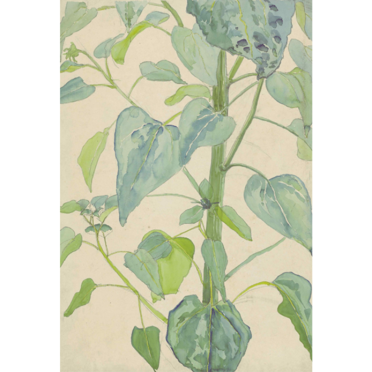 Waterflower Printed Rug