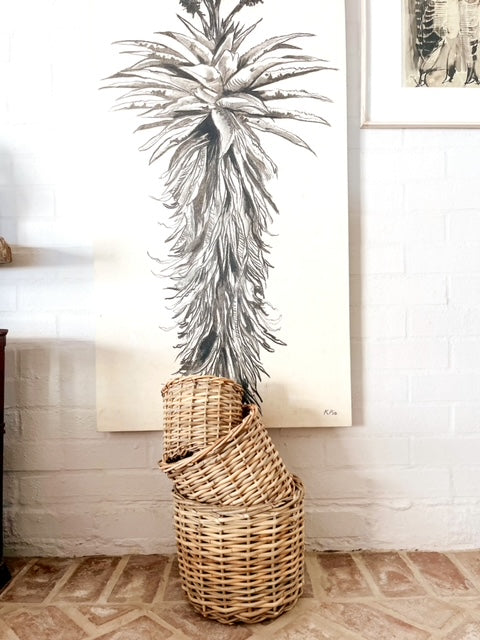Rattan Pot Plant Basket (Medium)