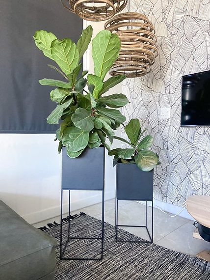 The Standing Cube Planter