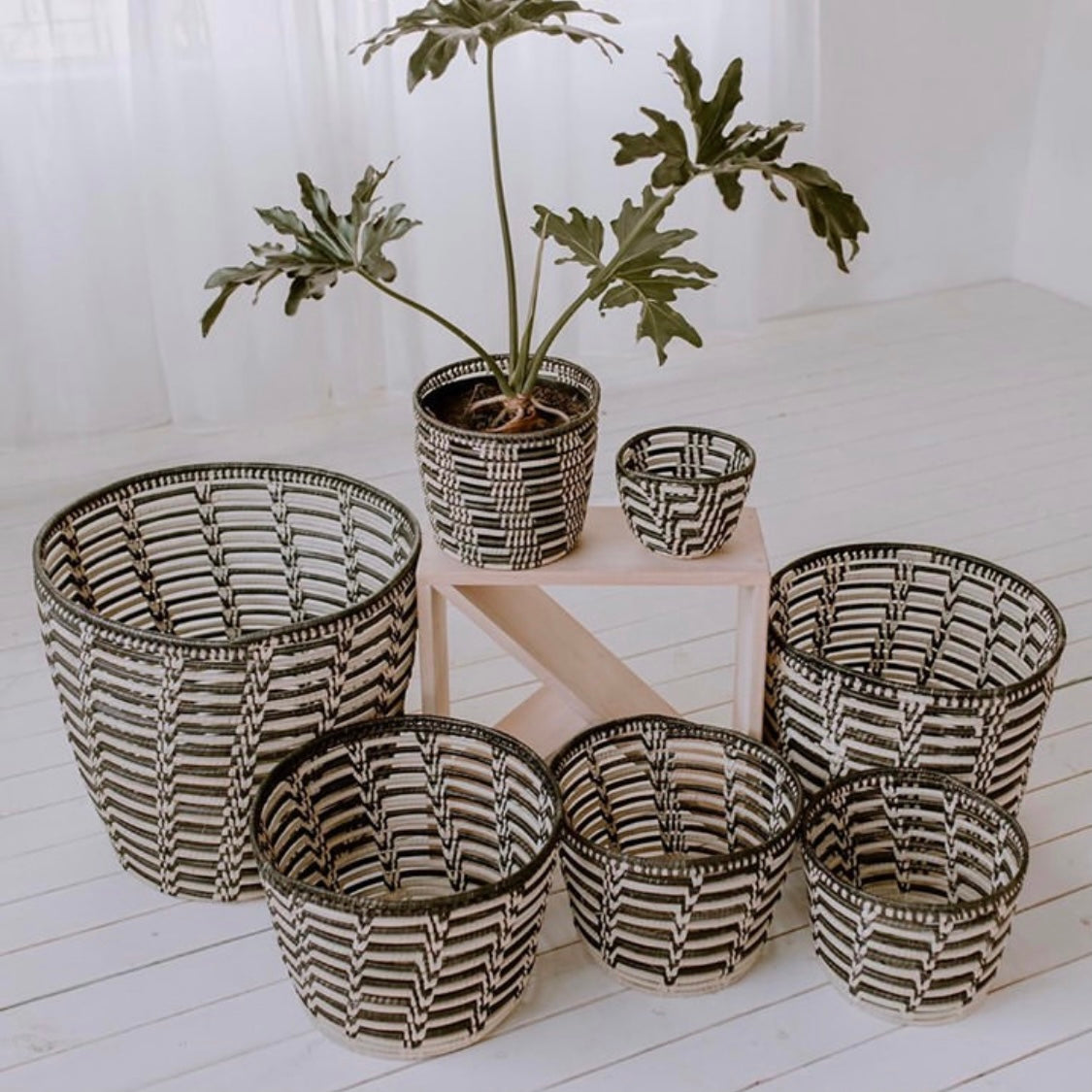 Willow Basket (M)