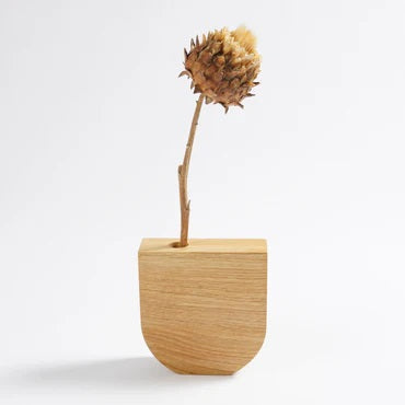 Dried Flower Vase