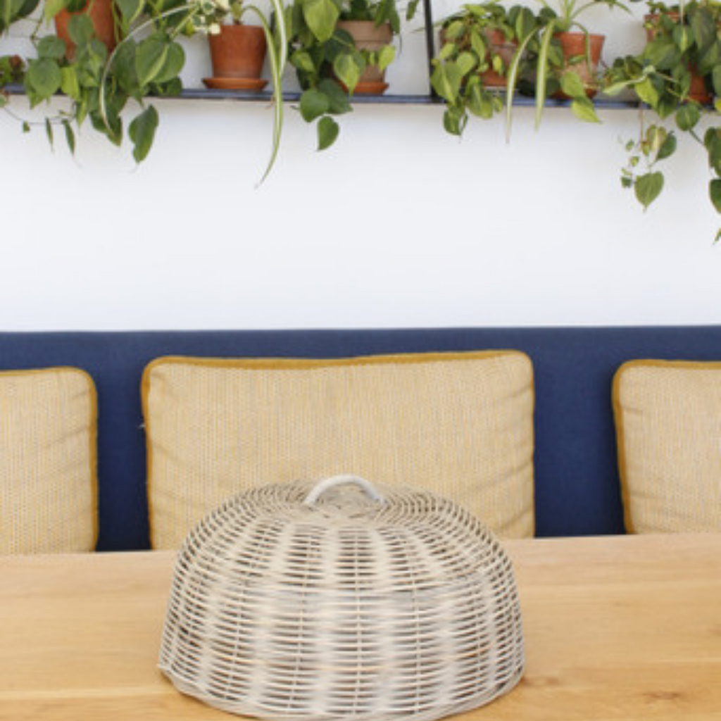 Cane Food Cover/Dome - Large