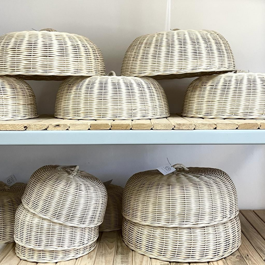 Cane Food Cover/Dome - Medium