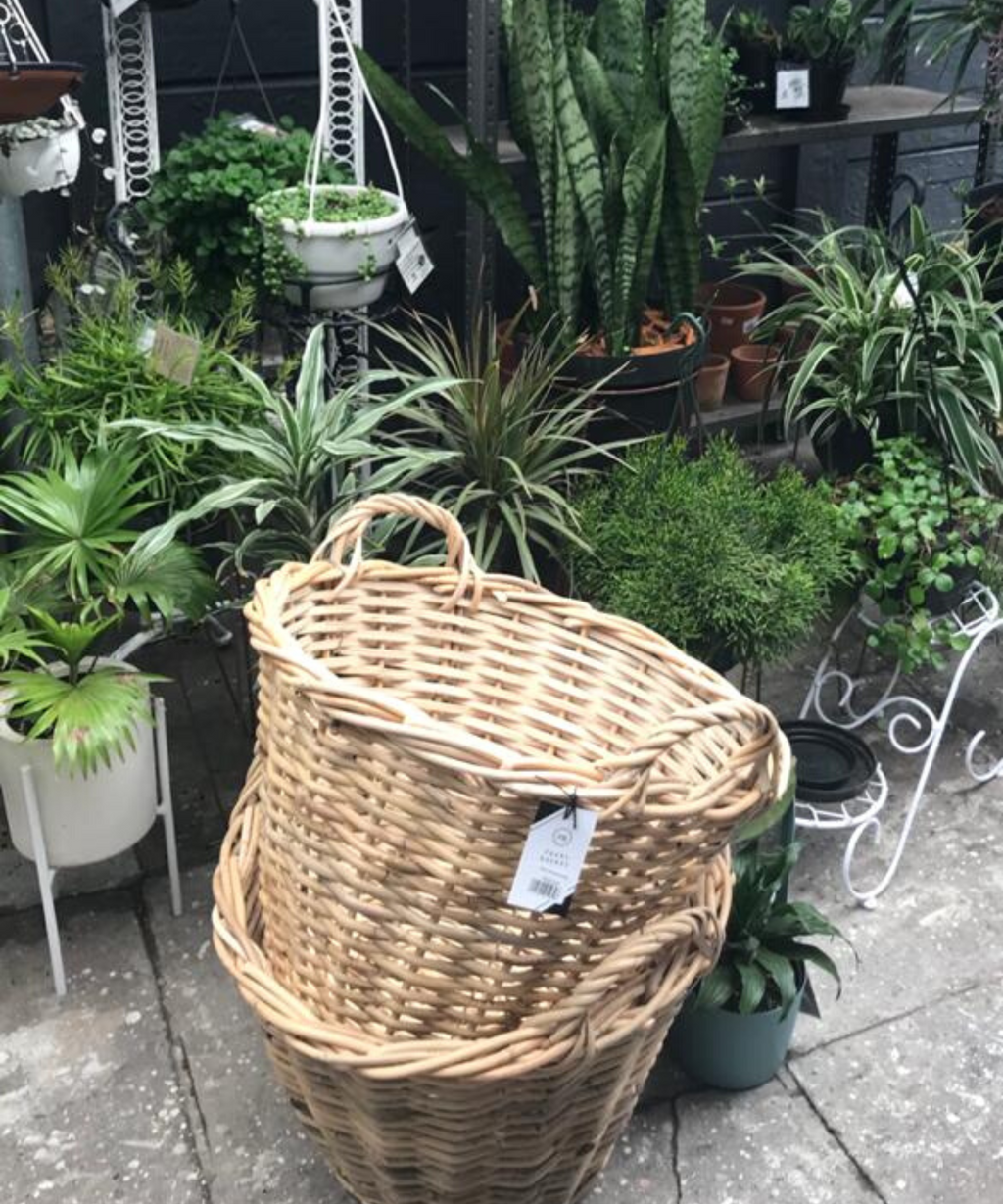 Traditional Boessel Rattan Basket - Extra Large