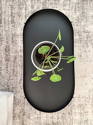 Capsule Coffee Table (Two Tier)