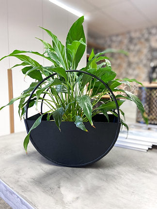 The Hoop Planter (each)