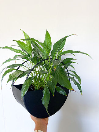 The Hoop Planter (set of 3)