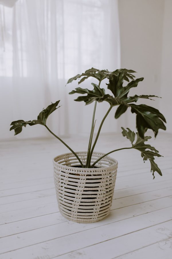 Mahogany Basket (Medium)
