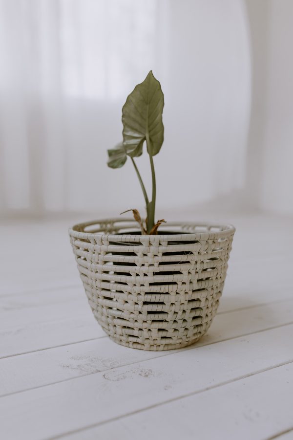 Mahogany Basket (X-Small)