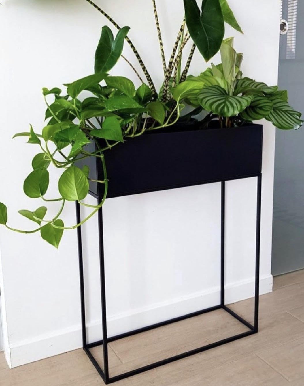 This black modern steel planter is perfect for any interior or exterior space. Elevate your décor and homestyle by purchasing this piece for your home. Handcrafted and exceptionnaly made- right here in South Africa. Do your part and support local! 