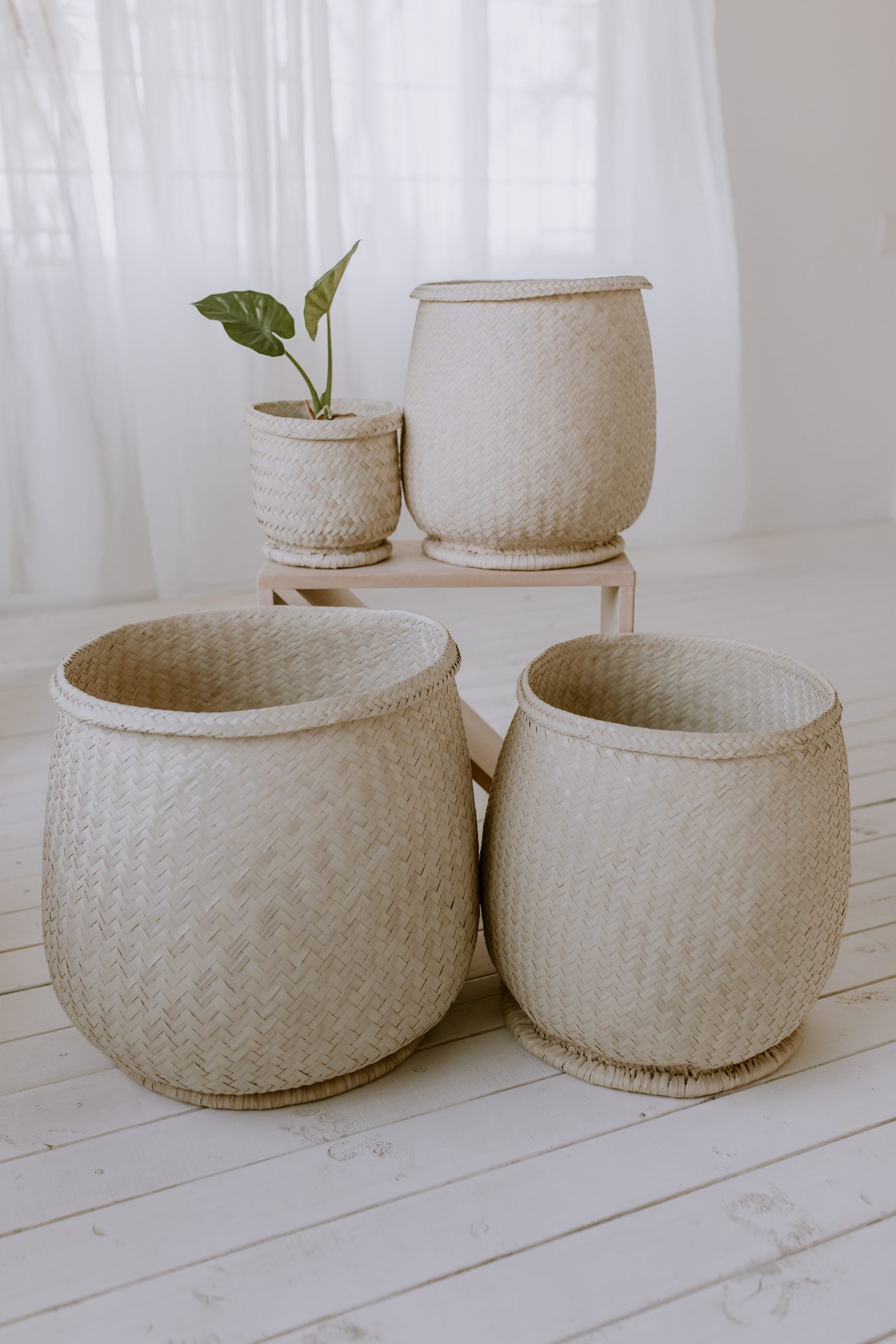 Oak Basket (XS)